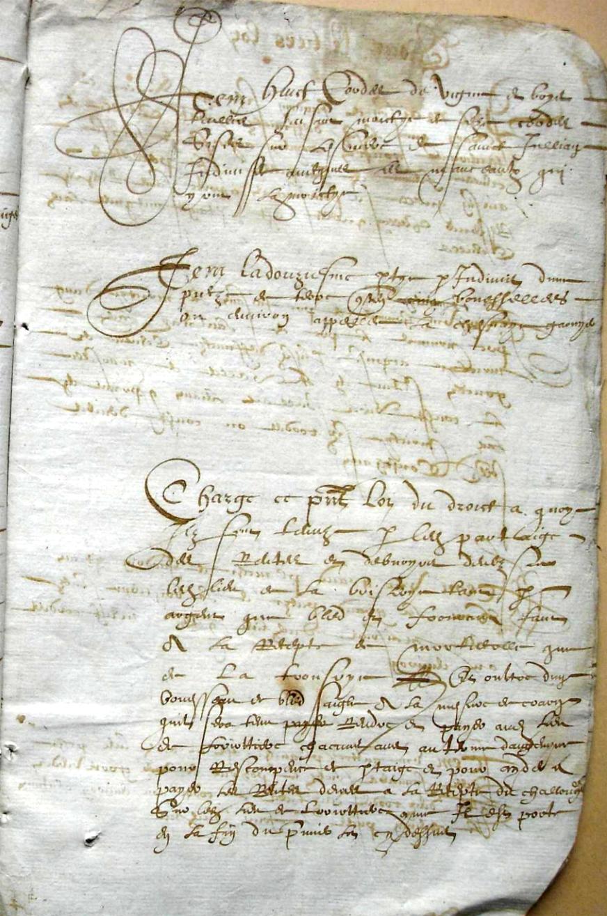 Thieurine_1589 (7).JPG